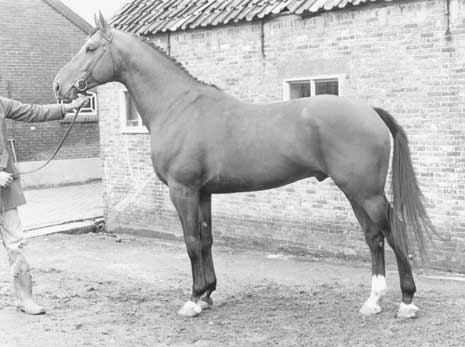 OBELISK, 1973