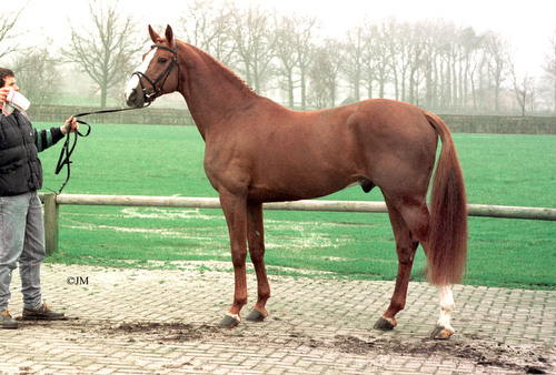 PRINCE PARADISO, 1983