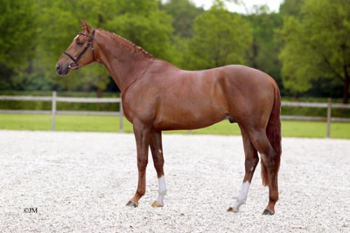 GLOBAL EXPRESS, 2011