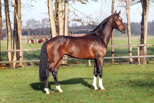 JACK DANIELS EB, 2014