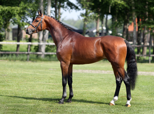 LE QUORNET STN, 2016