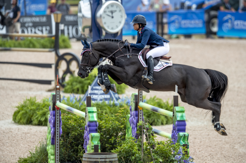 JAGUAR VAN DE BERGHOEVE, 2009